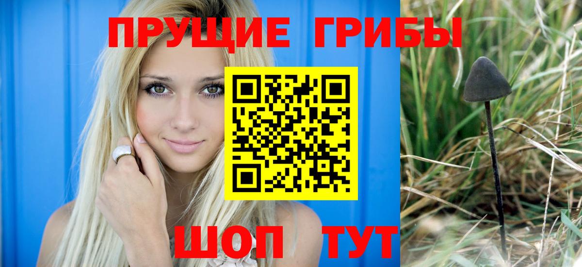 Галлюциногенные грибы GOLDEN TEACHER Южноуральск