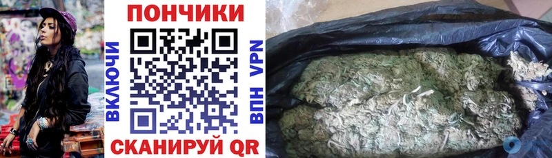 наркота Южноуральск Конопля сатива